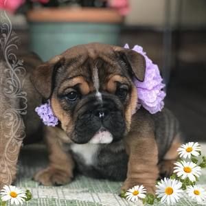 Meet your Posher, Mandy